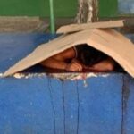 Vice-prefeito de Manaus alerta sobre crise do lixo nos igarapés e pede conscientização da população