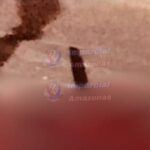 Corpos de pilotos desaparecidos são encontrados após queda de avião no Amazonas