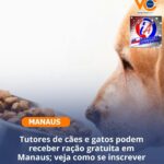 Micro-ônibus “Amarelinho” tomba na zona Leste de Manaus e deixa nove feridos