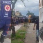 Prefeitura de Manaus abre inscrições para programa “Ração do Meu Pet”