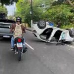 Aumento do calor eleva risco de acidentes com animais silvestres em rios e cachoeiras