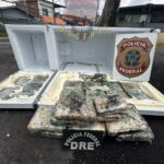 Polícia Militar prende mulher acusada de oferecer bebida alcoólica à filha de três meses, em Manaus