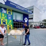 Prefeitura de Manaus Avança em Obras de Infraestrutura no Conjunto Canaranas