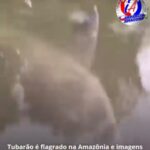 Procon Manaus apreende mais de 1,4 mil produtos irregulares durante operação de Carnaval