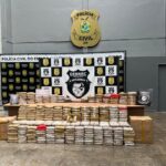 Base Arpão 2: Com o apoio de cão policial, PMAM apreende mais de 40 kg de entorpecentes