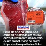 BRASIL X EUA